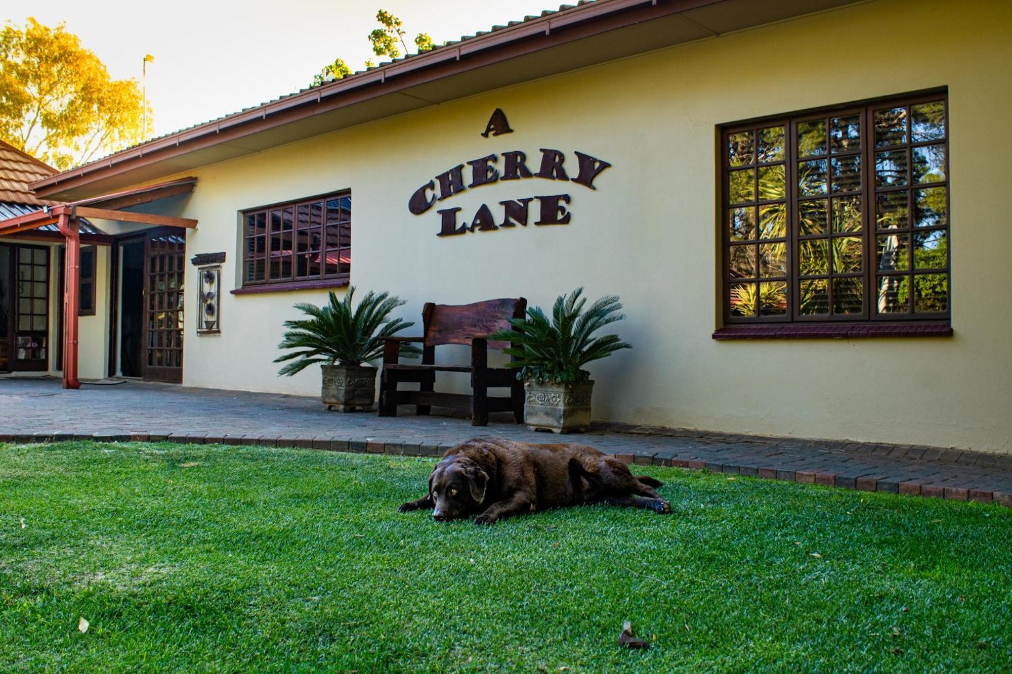 A Cherry Lane Self Catering And B&B Блумфонтейн Экстерьер фото